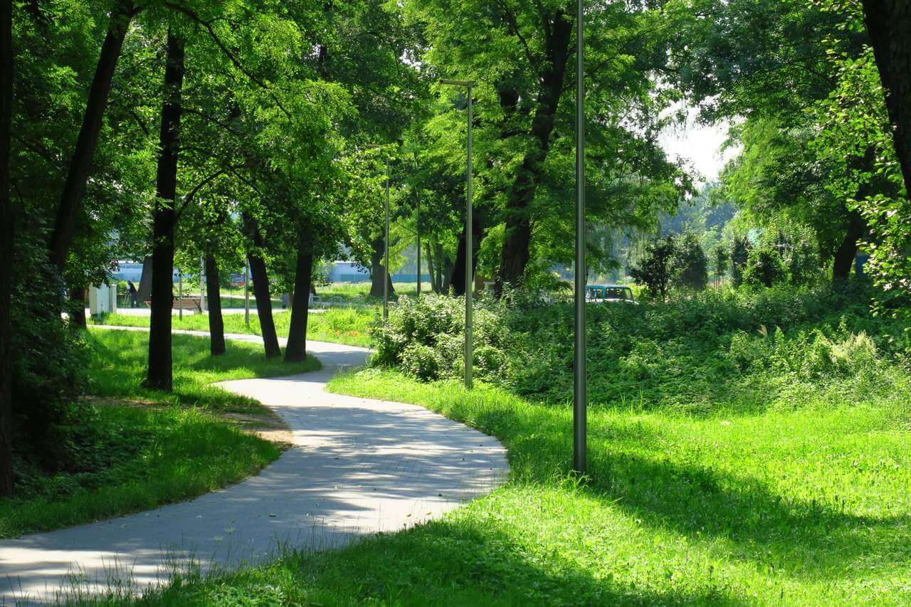 Park otaczający tężnię solankową w dzielnicy Paruszowiec-Piaski. Zdj. Lucyna Tyl. 