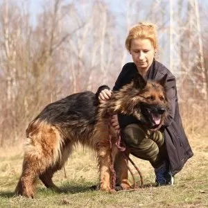 Podcast Coolturalny: Sylwia Galińska "Covidowe adopcje"