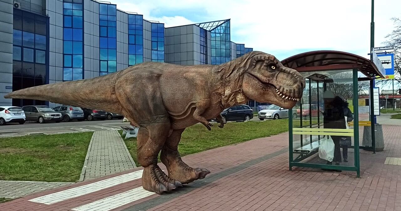 Groźnie wyglądający tyranozaur ma na imię Reksio. Zdj. Mat. prasowe
