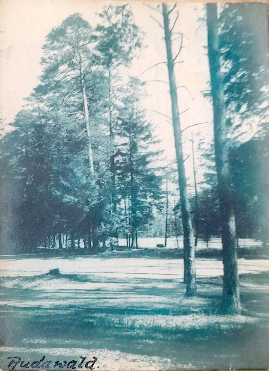 Kartka przedstawiająca leśną polanę z odręcznym opisem „Rudawald”, czyli „Las Ruda”. Arch. Miriam Glucksmann. 
