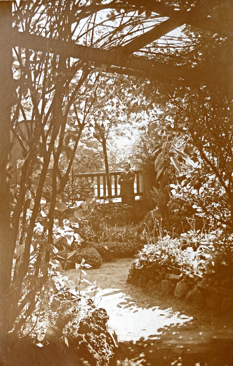 Ogród, który tak zafascynował Alfreda. Zdj. Arch. Miriam Glucksmann 